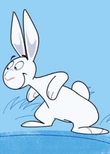 我的兔子朋友