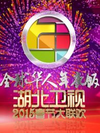 2015湖北羊年春晚