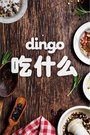dingo 吃什么2016