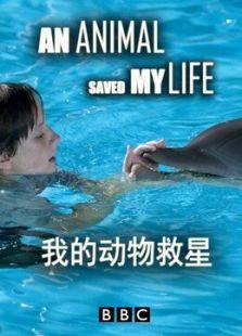 我的动物救星