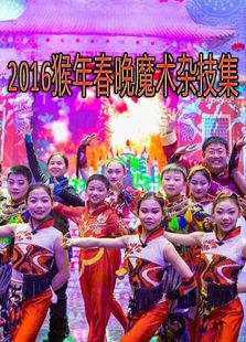 2016猴年春晚魔术杂技集