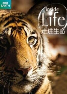 走进生命