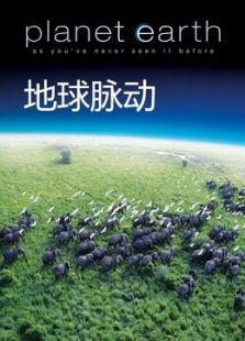 地球脉动