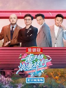 妻子的浪漫旅行2