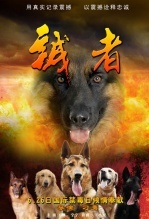 诚者