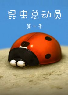 昆虫总动员 第一季