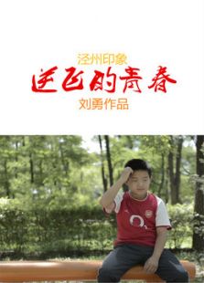逆飞的青春