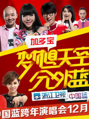浙江2013跨年晚会