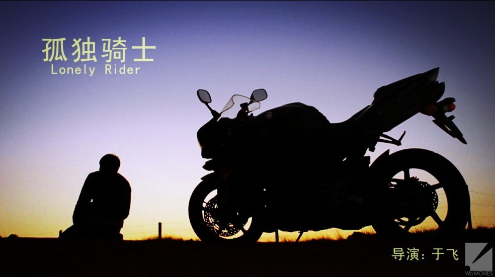 孤独骑士