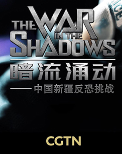 暗流涌动:中国新疆反恐挑战