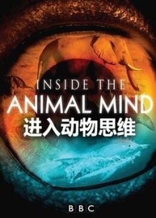 进入动物的思维