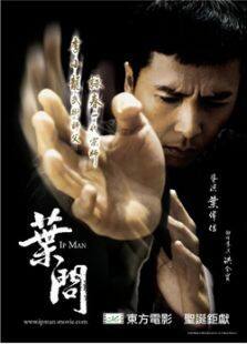 叶问1:一代宗师