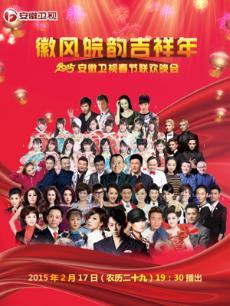 2015安徽春晚