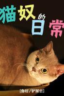猫奴的日常2016