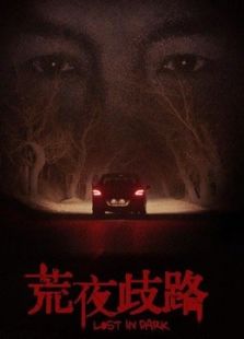 荒夜歧路