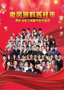 安徽春晚历年合集