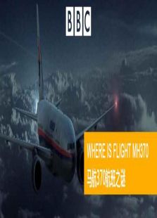 马航370航班之谜