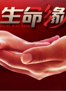 生命缘 第三季