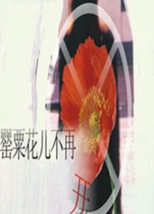 罂粟花儿不再开