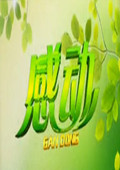 感动黑龙江2013