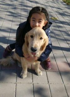 狗狗寻家记