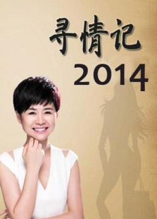 寻情记2014