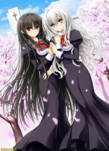 少女爱上姐姐
