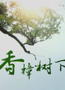 香樟树下