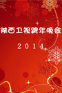 陕西2014跨年晚会