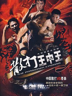 散打王中王