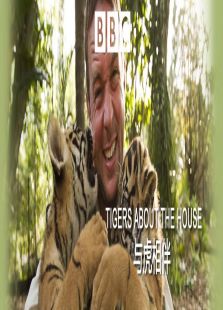 与虎相伴