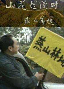 山花烂漫时
