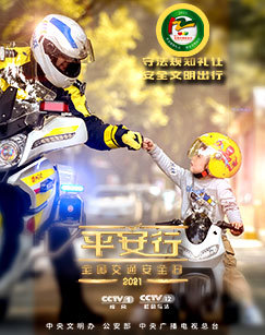 平安行2021
