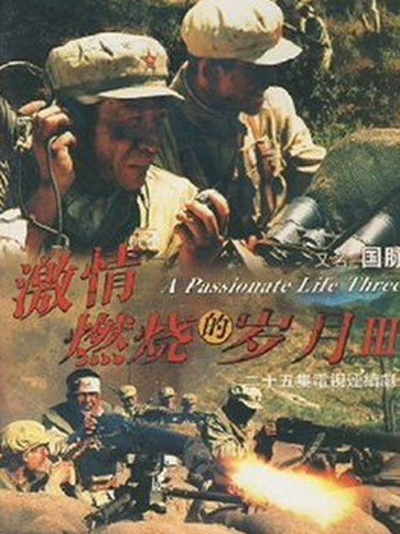 激情燃烧的岁月3