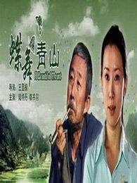 蝶舞青山