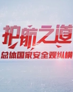 护航之道:总体国家安全观纵横