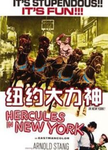 纽约大力神