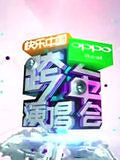 湖南2012跨年晚会