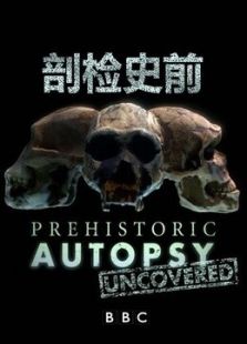 剖检史前