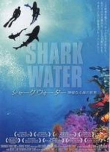 鲨鱼海洋