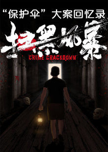 扫黑:“保护伞”大案回忆录