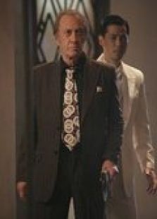 白鹤功夫传 下