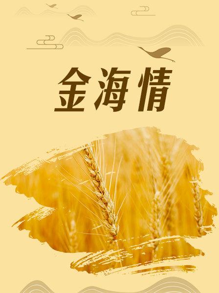 金海情