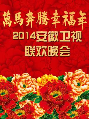 安徽2014春晚