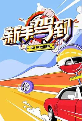 新手驾到2020