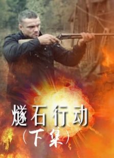 燧石行动 下