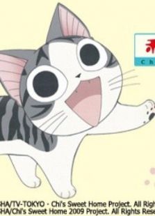 甜甜私房猫 第二季