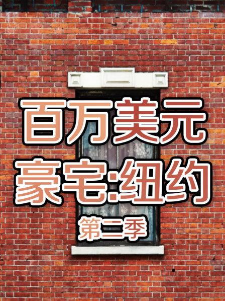 百万美元豪宅:纽约 第二季