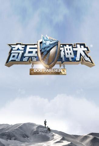 非常完美 贵州2018