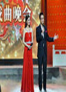 山东2012元宵戏曲晚会